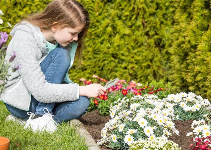 Vorsicht Garten – sichere Pflanzen für Kinder und Tiere