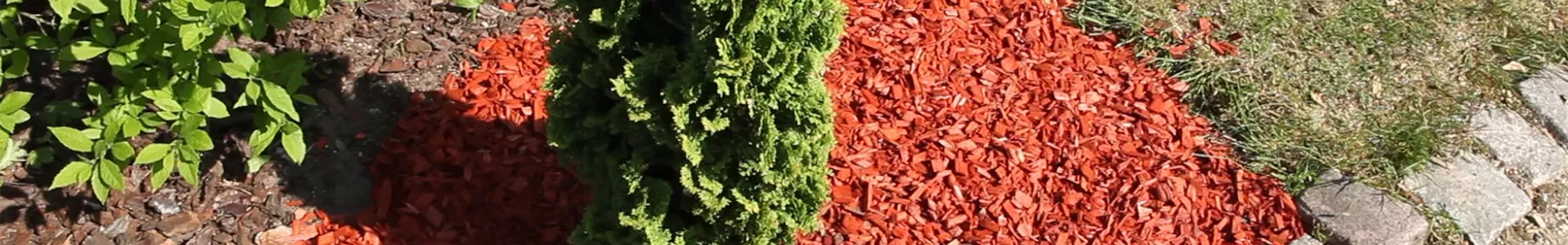 Mulch - Einsatz im Garten (thumbnail).jpg