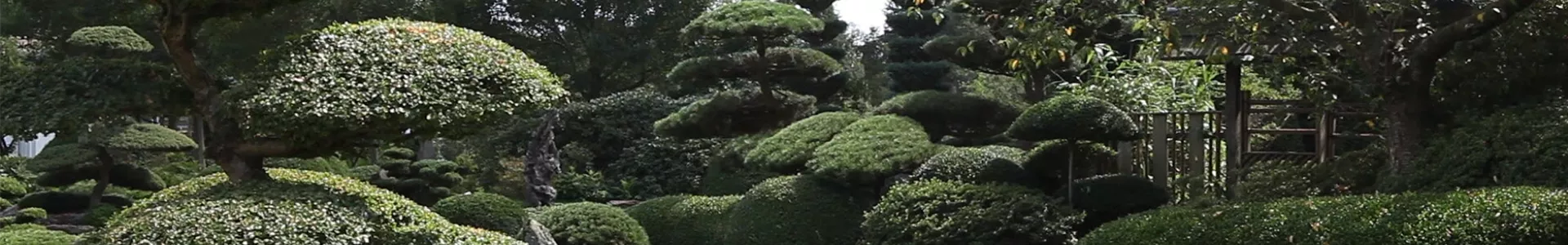 Gartengestaltung - Japan Garten (thumbnail).jpg