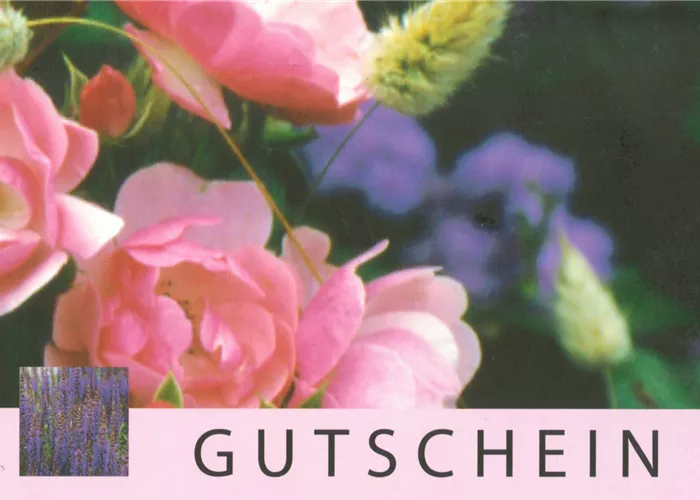 Gutscheine