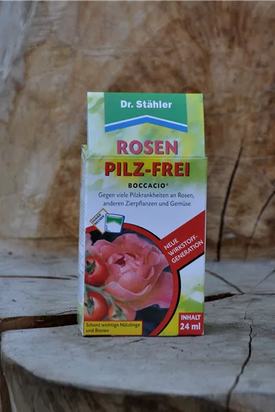 Rosen - Pilzfrei Boccacio 24 ml